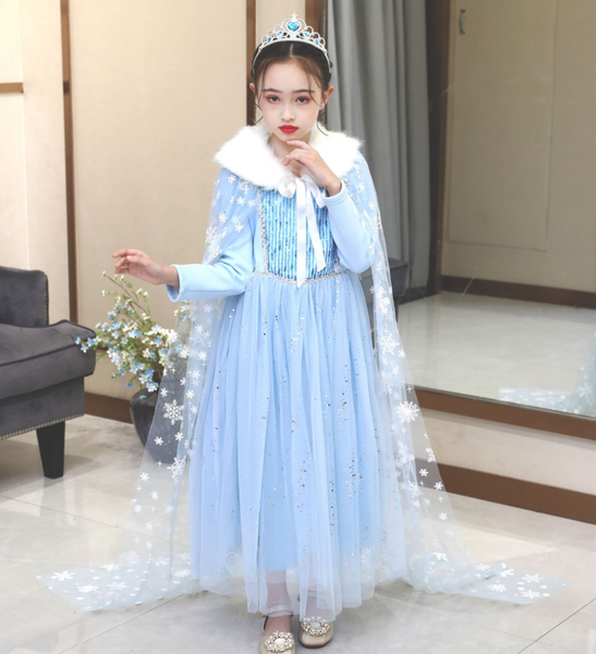 Frozen Winter Blue Costume Dress