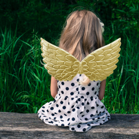 This unicorn light up dress will be the best dress you will find for your special little girl.  It is unique & eye catching with stunning details, the tutu has lots of layers & volume to it. All their friends will want one. The dress comes with a matching LED light up Unicorn horn.  The wings are 3D, padded, & removable.  Lights can be switched on or off  Dress and Horn light up  Contact Us  Email: info@lucymelon.com