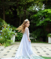 Frozen II Silver Costume Dress