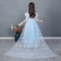 Frozen Blue Costume Dress