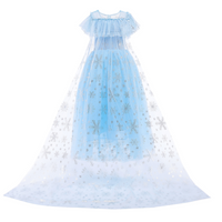 Frozen Blue Costume Dress