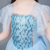 Frozen Blue Costume Dress