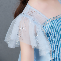 Frozen Blue Costume Dress