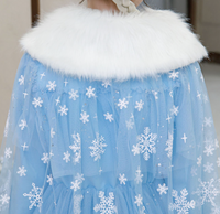 Frozen Winter Blue Costume Dress