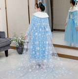 Frozen Winter Blue Costume Dress