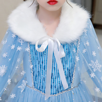 Frozen Winter Blue Costume Dress